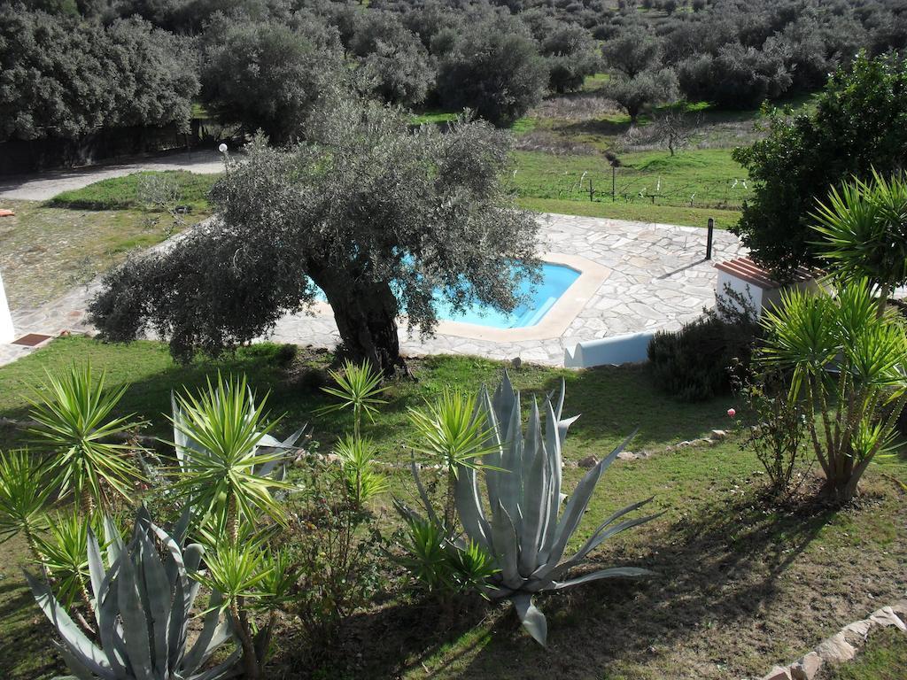 Villa Casa De Campo Quinta Sao Jorge Reguengos de Monsaraz Exterior foto