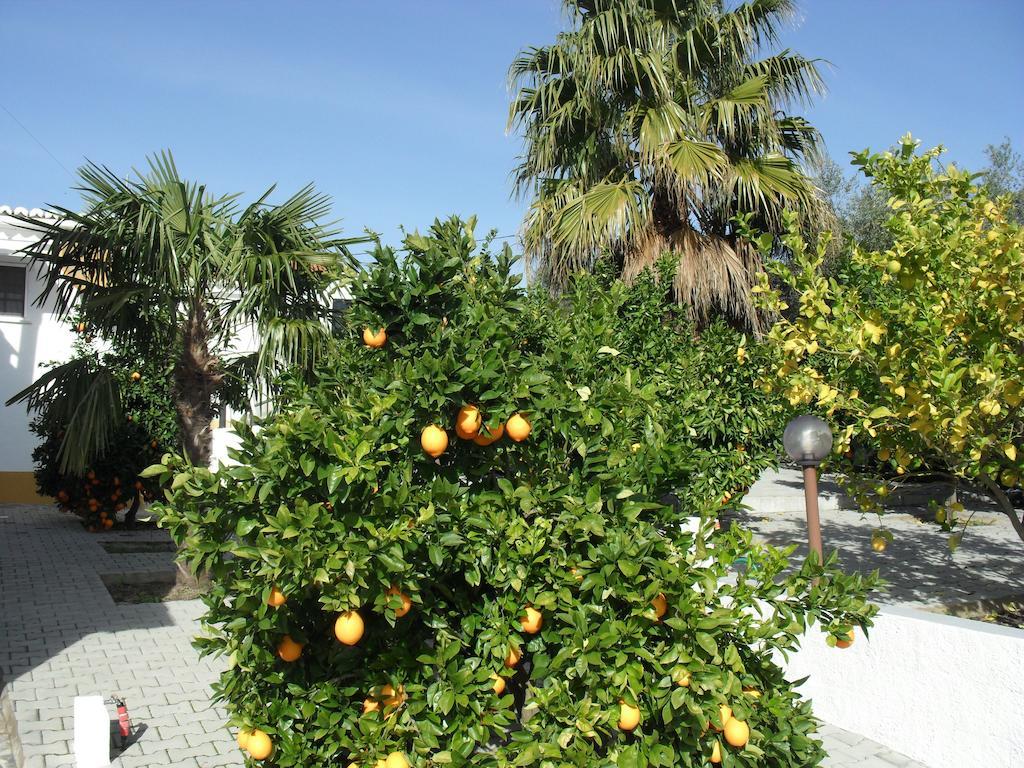 Villa Casa De Campo Quinta Sao Jorge Reguengos de Monsaraz Exterior foto